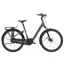 Trek District+ 2 Lowstep e-Bike In Keswick