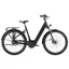 Trek District+ 4 Coaster Lowstep City eBike in Trek Black
