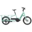 Trek Fetch+ 2 Electric Cargo Bike in Green