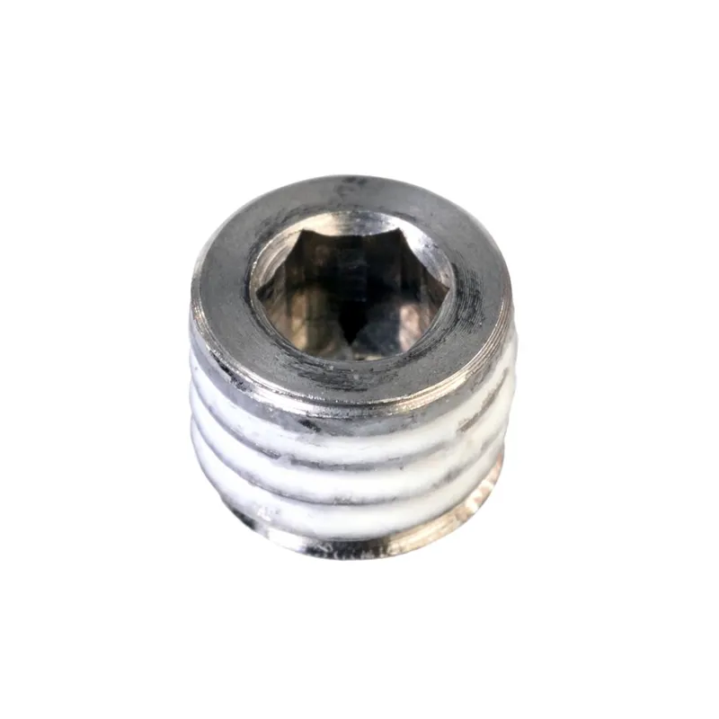 Rohloff Speedhub Drain Plug in Silver